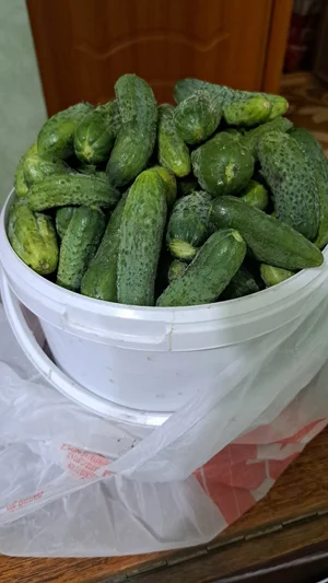 Огурцы
