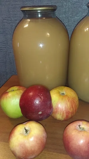 Яблочный сок