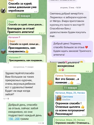 Домашний бройлер