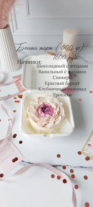 Бенто S (500 гр)