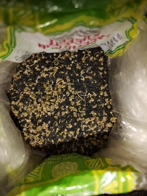 Лук севок крупный