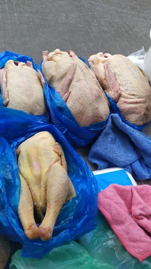 Индоутки