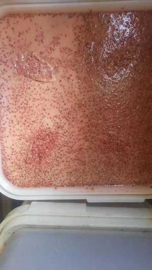 Мёд