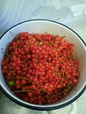 Красной смородины