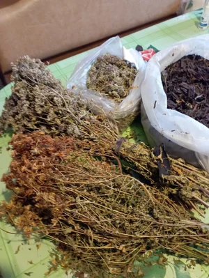 Заготовки (огурцы + помидоры)