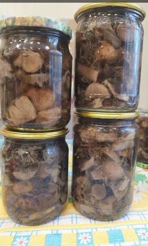 Маринованные подосиновики