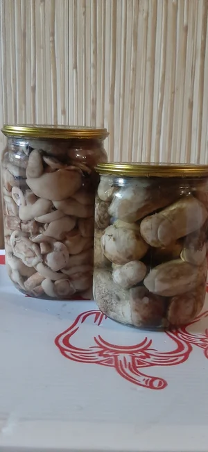 Маринованные маслята