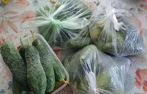 Огурцы