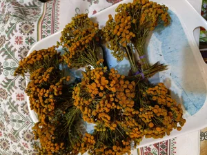 Фасоль белая Сливочная