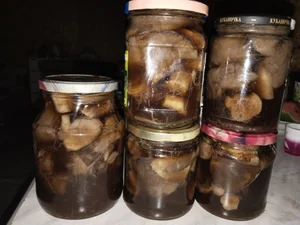 Маслята маринованные