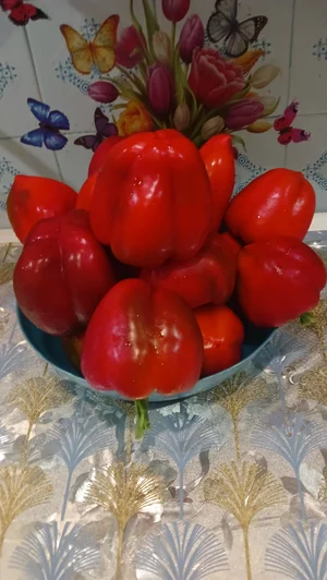 Помидоры крупные
