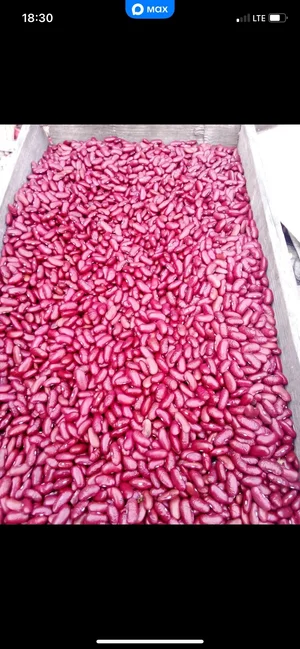 Фасоль