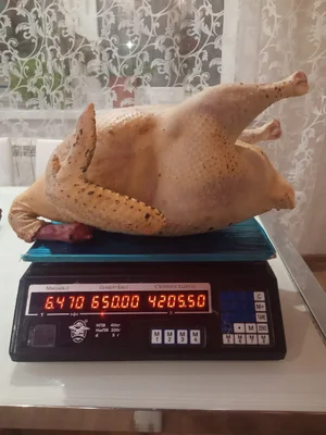 Индейка