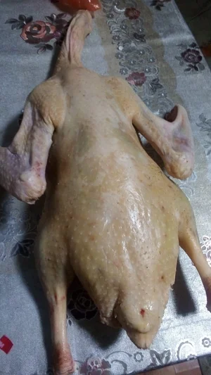Деревенские гуси