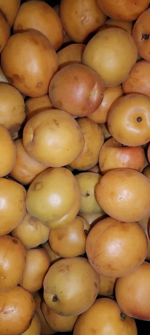 Черешня жёлтая