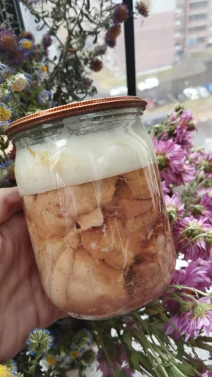 Мясо курочки бройлера