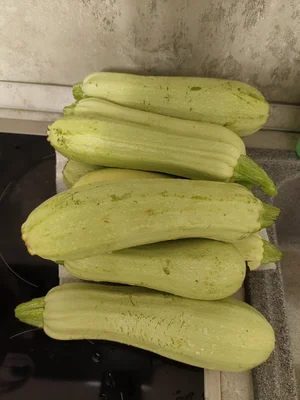 Кабачки