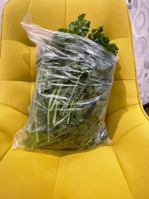 Зеленые помидоры
