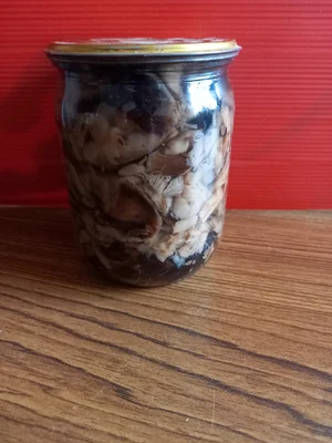 Маринованные грибы вешенки летние