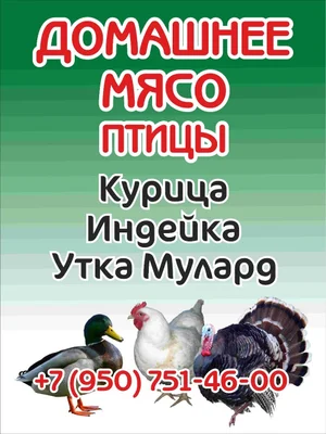 Индейка