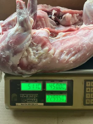 Кролики