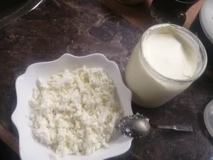 Куриное яйцо
