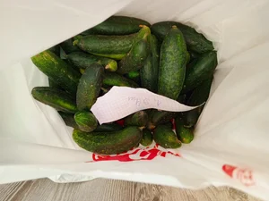 Огурцы