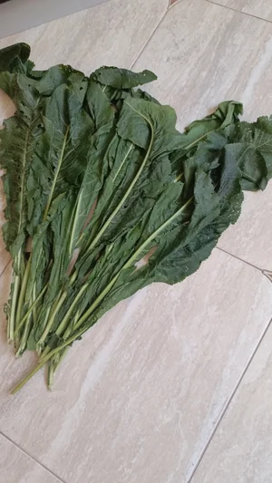 Хрен