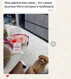 Моти