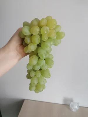 Черенки винограда