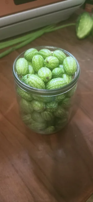Мелотрия (арбузный огурец, cucamelon)