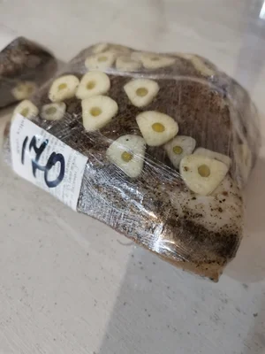 Солёное сало в перце и чесноке