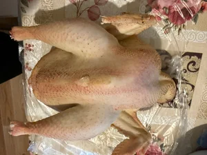 Картошка молодая крупная