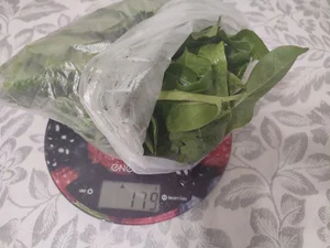 Яйца свежие домашние