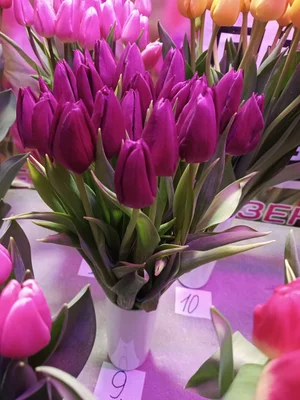 Цветок на луковице