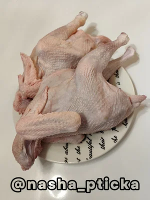 Мясо молодых перепелов