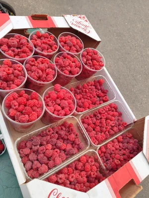 Малина