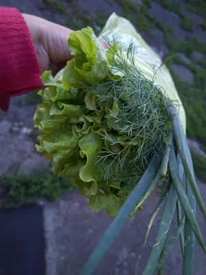 Листья салата