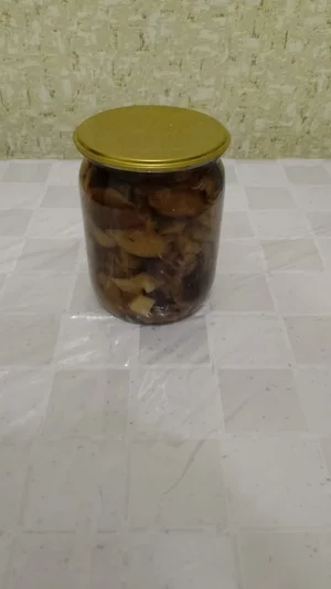 Грибы зеленушки