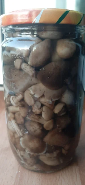 Соленые грузди