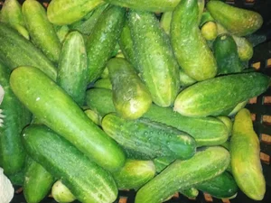 Клубника