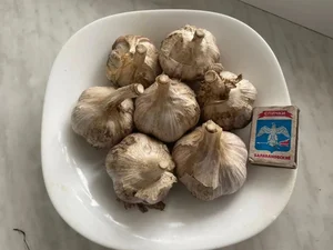 Чеснок