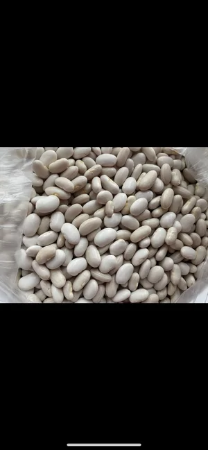 Кабачки