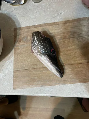 Щука