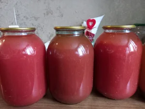 Рыжики маринованные