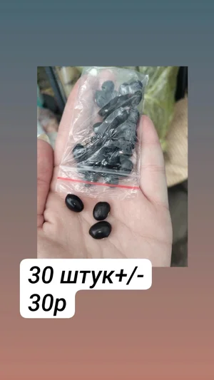 Фасоль