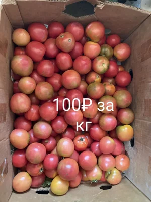 Огурчики