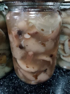 Маслята маринованные