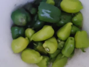 Картофель