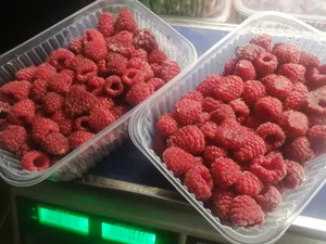 Малина замороженная, лоток (495-530гр)